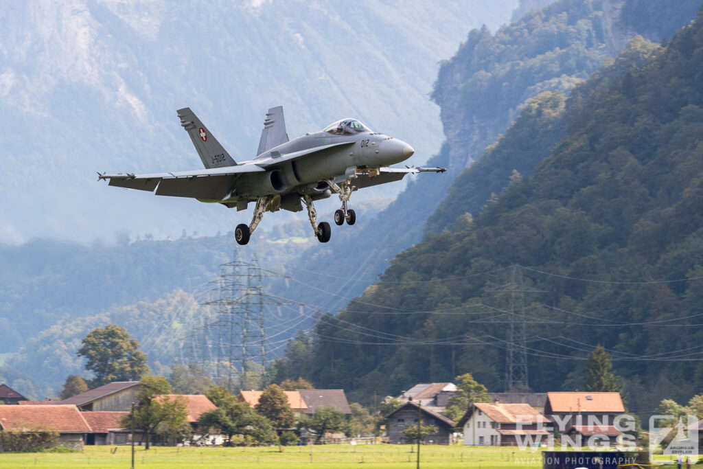 meiringen hornet 9423 zeitler 1024x683 - Scenic Switzerland - Tigers and Hornets fighting at Meiringen