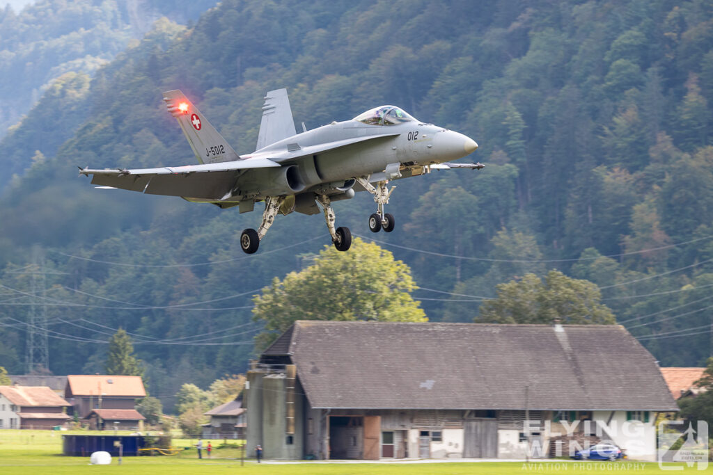 meiringen hornet 9424 zeitler 1024x683 - Scenic Switzerland - Tigers and Hornets fighting at Meiringen