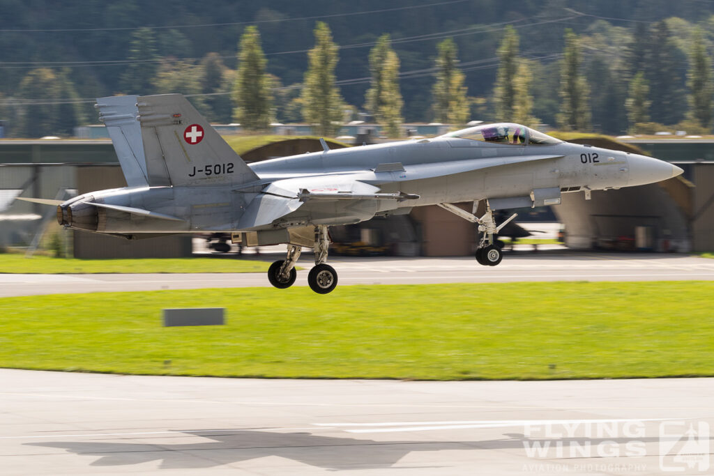 meiringen hornet 9435 zeitler 1024x683 - Scenic Switzerland - Tigers and Hornets fighting at Meiringen