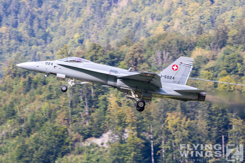 meiringen hornet 9540 zeitler 1024x683 - Scenic Switzerland - Tigers and Hornets fighting at Meiringen