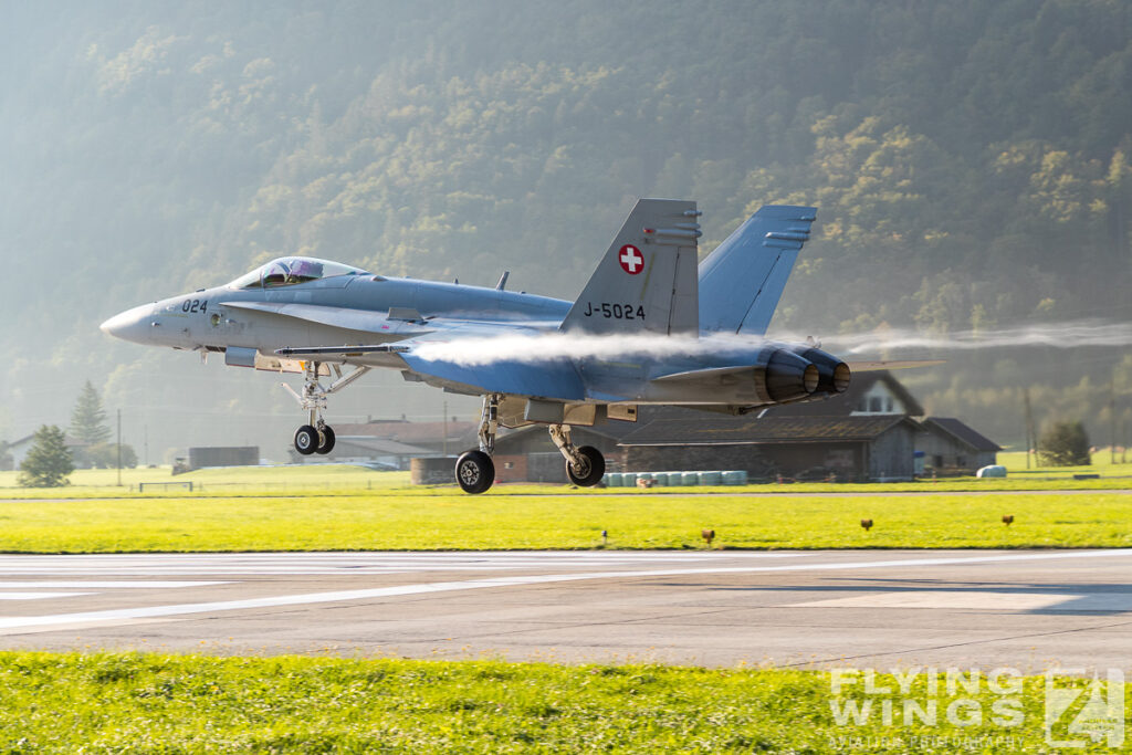 meiringen hornet 9685 zeitler 1024x683 - Scenic Switzerland - Tigers and Hornets fighting at Meiringen