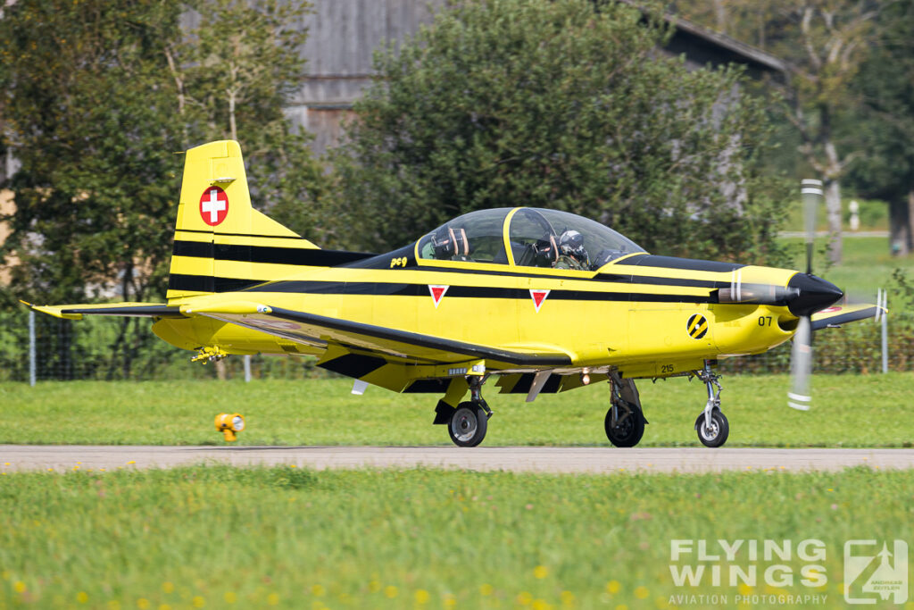 meiringen pc 9 8911 zeitler 1024x683 - Scenic Switzerland - Tigers and Hornets fighting at Meiringen