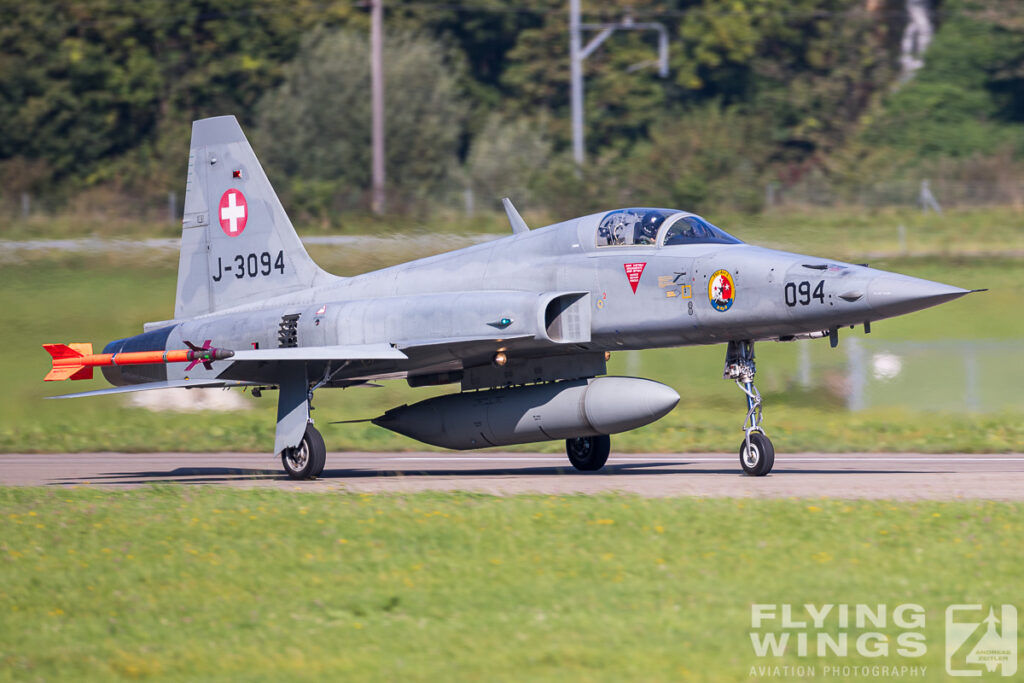 meiringen tiger 0003 zeitler 1024x683 - Scenic Switzerland - Tigers and Hornets fighting at Meiringen