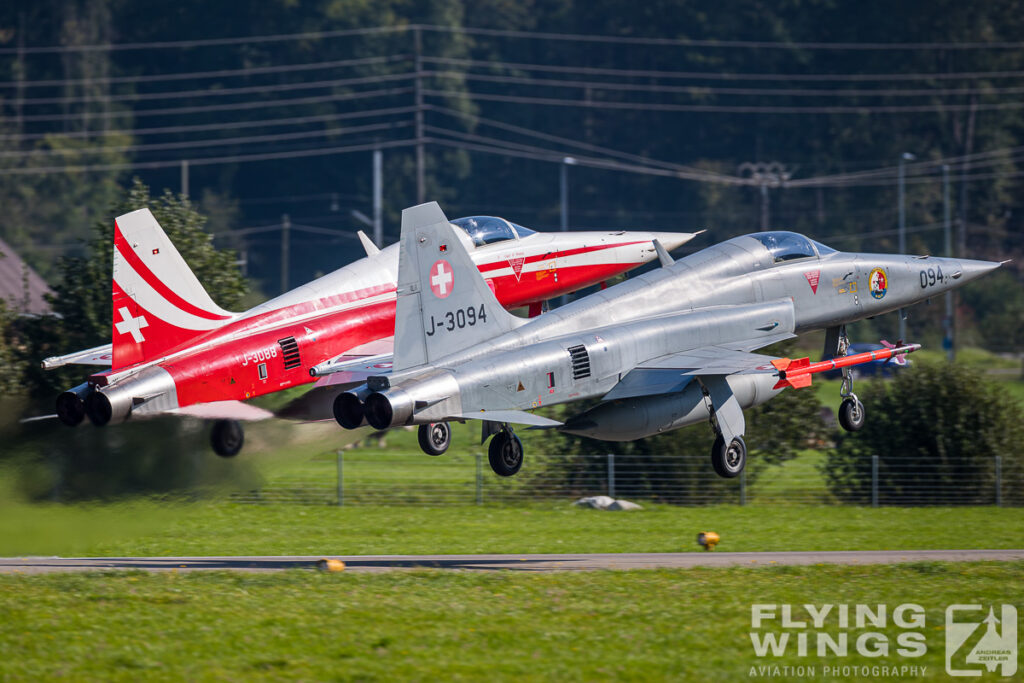 meiringen tiger 0048 zeitler 1024x683 - Scenic Switzerland - Tigers and Hornets fighting at Meiringen