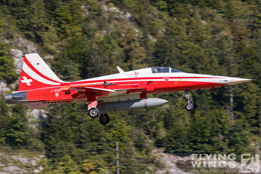 meiringen tiger 0256 zeitler 1024x683 - Scenic Switzerland - Tigers and Hornets fighting at Meiringen