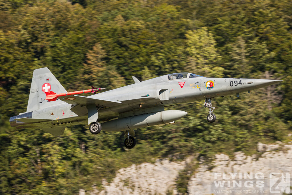 meiringen tiger 0293 zeitler 1024x683 - Scenic Switzerland - Tigers and Hornets fighting at Meiringen