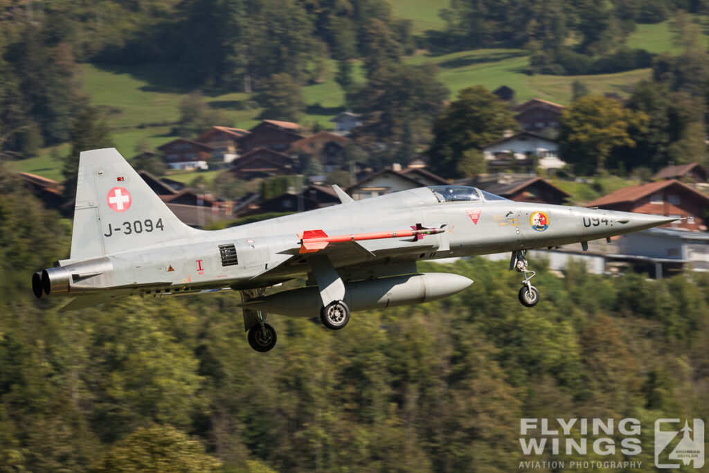 meiringen tiger 0308 zeitler 1024x683 - Scenic Switzerland - Tigers and Hornets fighting at Meiringen