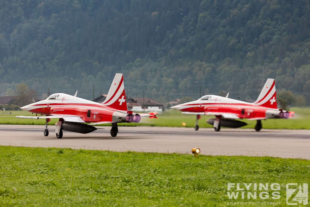 meiringen tiger 8249 zeitler 1024x683 - Scenic Switzerland - Tigers and Hornets fighting at Meiringen