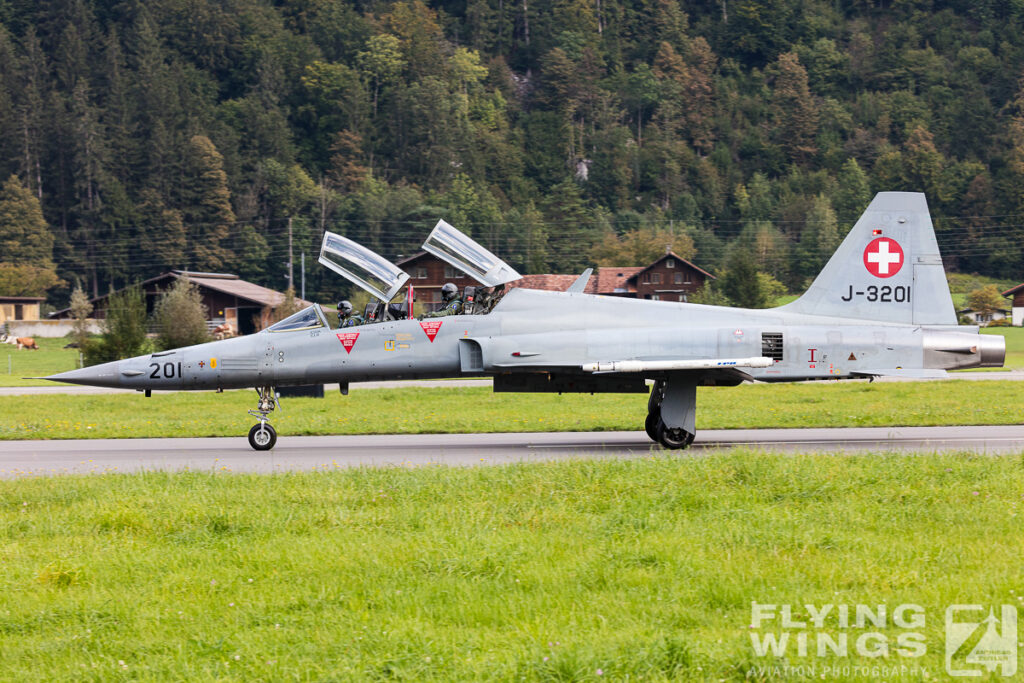 meiringen tiger 8268 zeitler 1024x683 - Scenic Switzerland - Tigers and Hornets fighting at Meiringen