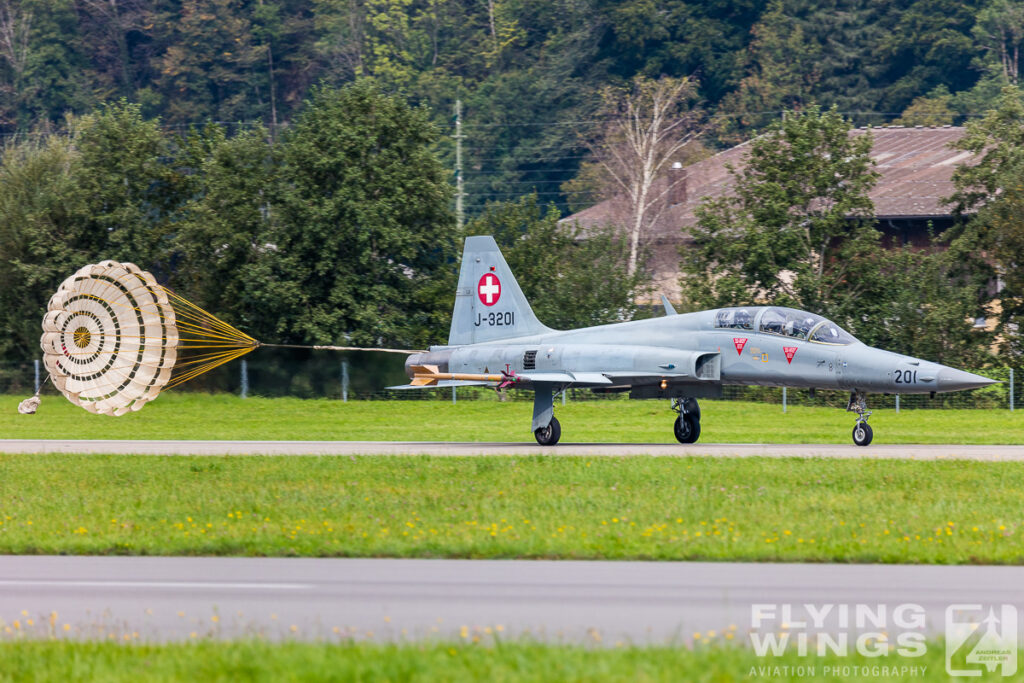 meiringen tiger 8361 zeitler 1024x683 - Scenic Switzerland - Tigers and Hornets fighting at Meiringen