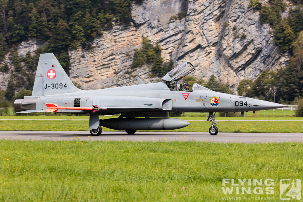 meiringen tiger 8450 zeitler 1024x683 - Scenic Switzerland - Tigers and Hornets fighting at Meiringen