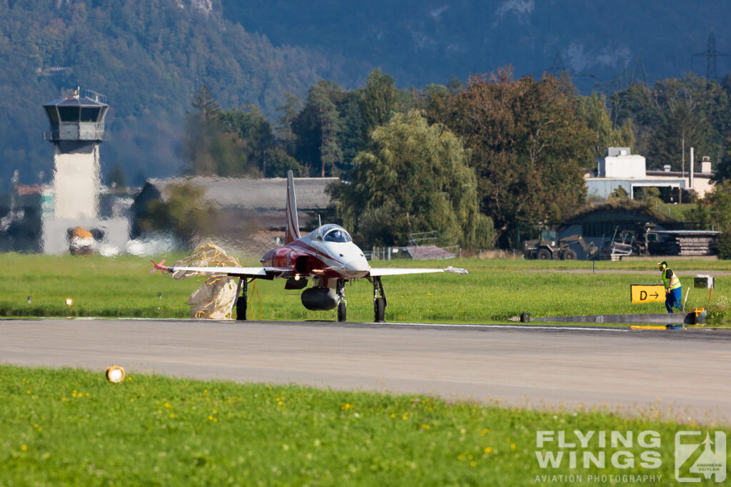 meiringen tiger 8635 zeitler 1024x683 - Scenic Switzerland - Tigers and Hornets fighting at Meiringen