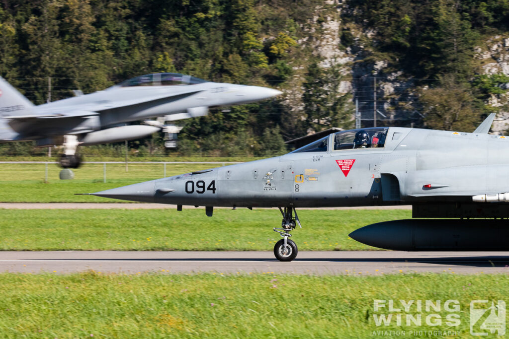 meiringen tiger 8837 zeitler 1024x683 - Scenic Switzerland - Tigers and Hornets fighting at Meiringen