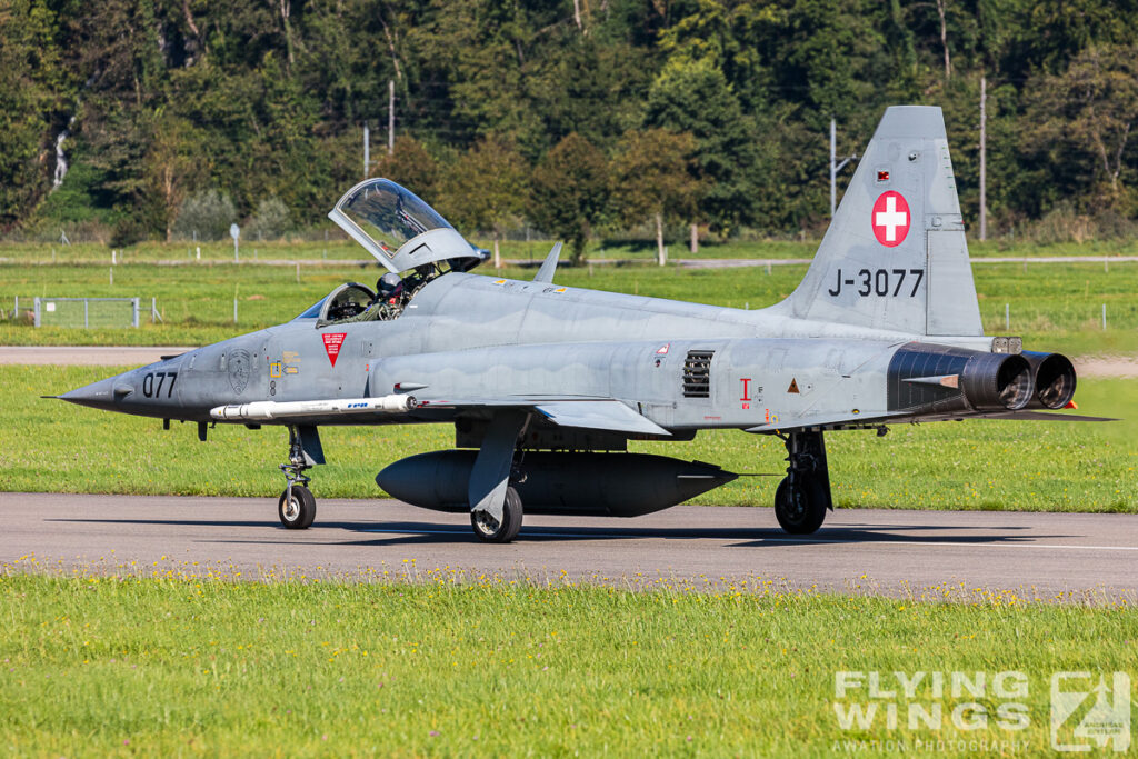 meiringen tiger 8854 zeitler 1024x683 - Scenic Switzerland - Tigers and Hornets fighting at Meiringen