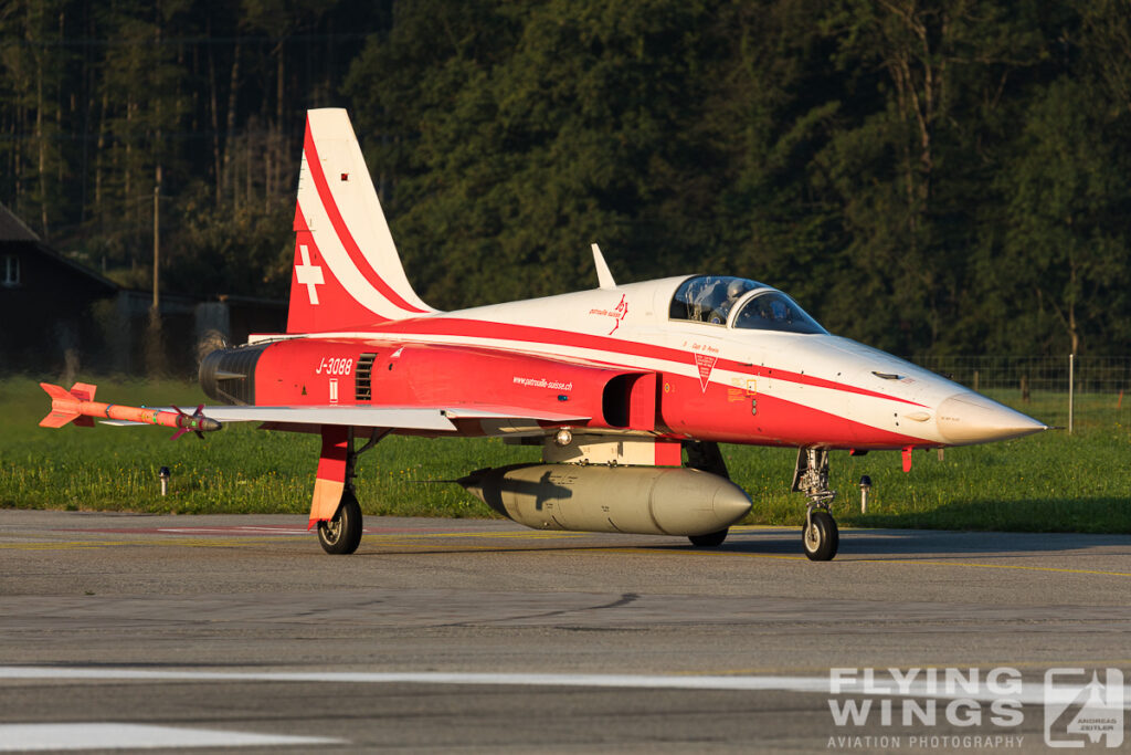 meiringen tiger 9079 zeitler 1024x683 - Scenic Switzerland - Tigers and Hornets fighting at Meiringen