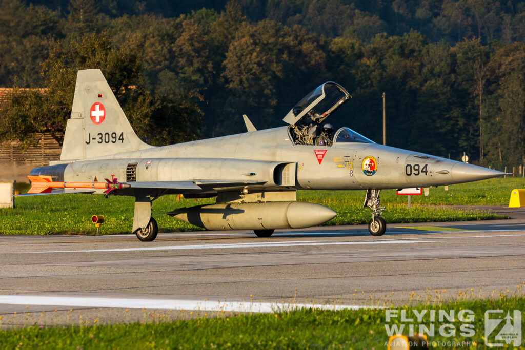 meiringen tiger 9116 zeitler 1024x683 - Scenic Switzerland - Tigers and Hornets fighting at Meiringen