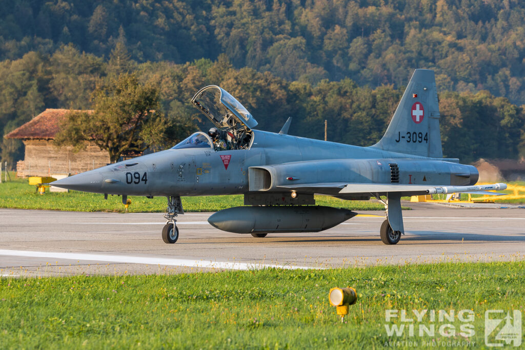 meiringen tiger 9121 zeitler 1024x683 - Scenic Switzerland - Tigers and Hornets fighting at Meiringen