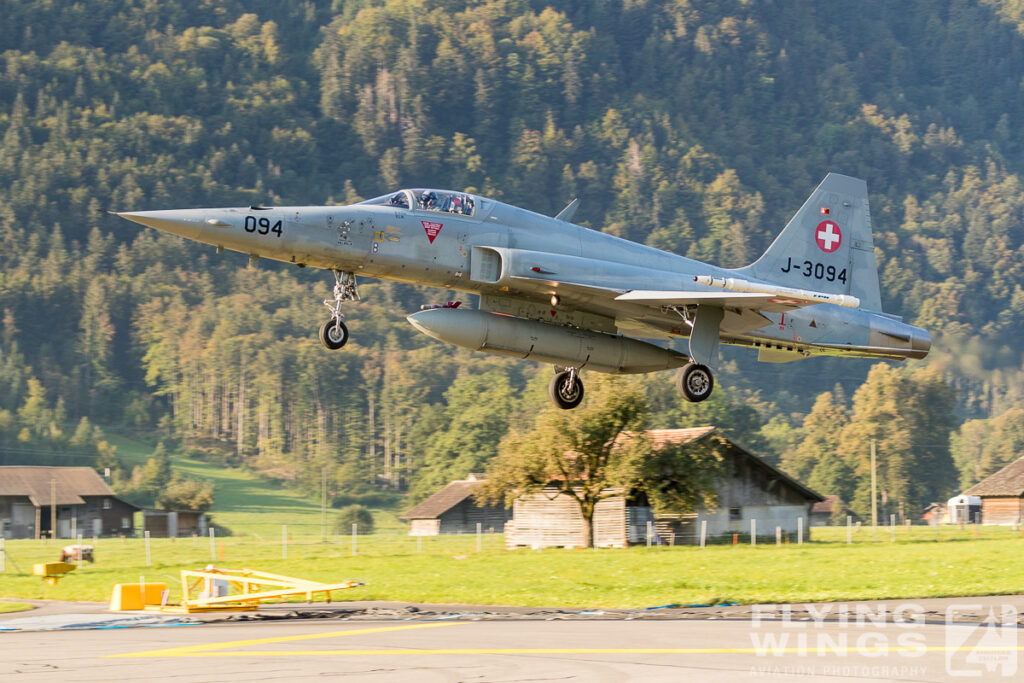 meiringen tiger 9777 zeitler 1024x683 - Scenic Switzerland - Tigers and Hornets fighting at Meiringen