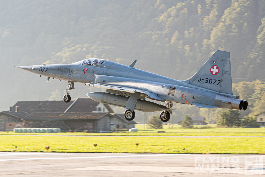 meiringen tiger 9900 zeitler 1024x683 - Scenic Switzerland - Tigers and Hornets fighting at Meiringen