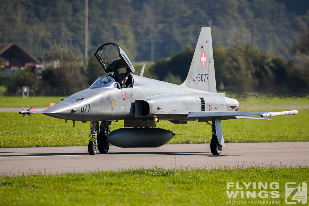 meiringen tiger 9948 zeitler 1024x683 - Scenic Switzerland - Tigers and Hornets fighting at Meiringen