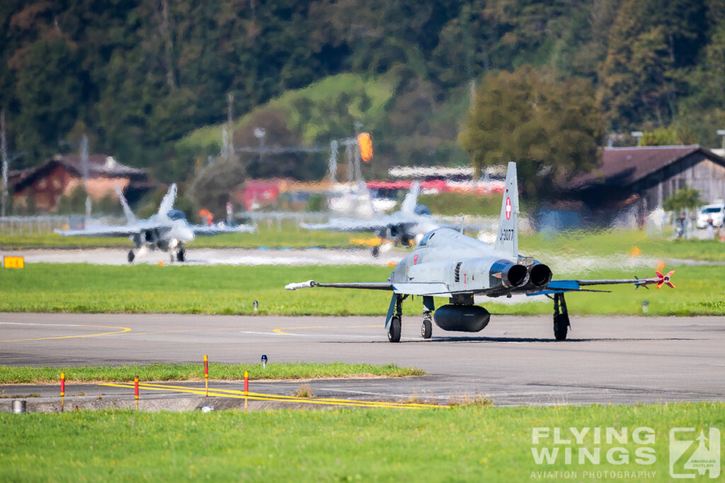 meiringen tiger 9959 zeitler 1024x683 - Scenic Switzerland - Tigers and Hornets fighting at Meiringen