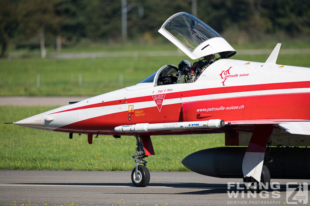 meiringen tiger 9962 zeitler 1024x683 - Scenic Switzerland - Tigers and Hornets fighting at Meiringen