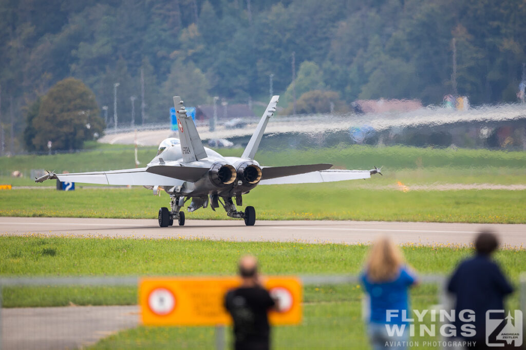 scenery 8883 zeitler 1024x683 - Scenic Switzerland - Tigers and Hornets fighting at Meiringen