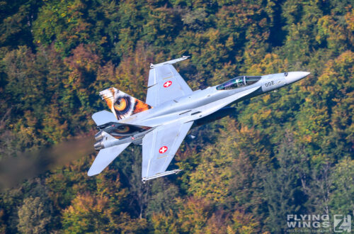 2025, F-18, F/A-18, Hornet, Meiringen, Swiss Air Force, Switzerland, special scheme