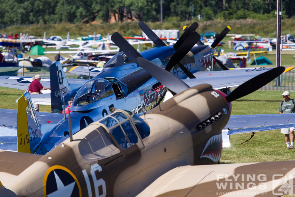 p 40 warhawk   5000 zeitler 1024x683 - EAA Airventure Oshkosh 2013