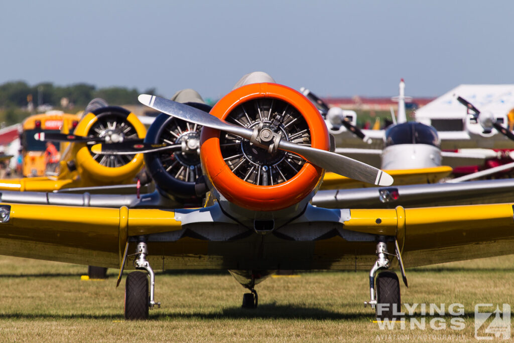 t 6   4967 zeitler 1024x683 - EAA Airventure Oshkosh 2013