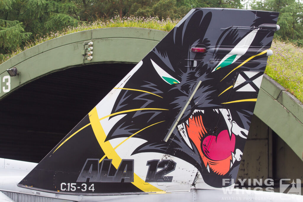 details   2379 zeitler 1024x683 - Luftwaffe F-4F Phantom II Pharewell