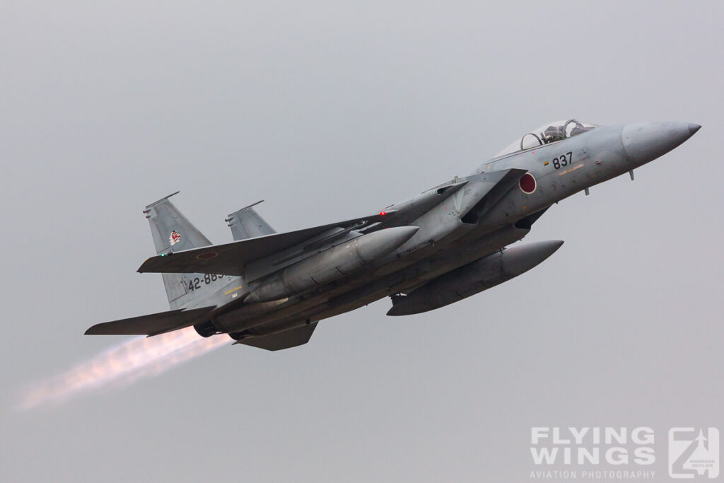 2014, F-15, JASDF, Japan, Tsuiki, airshow