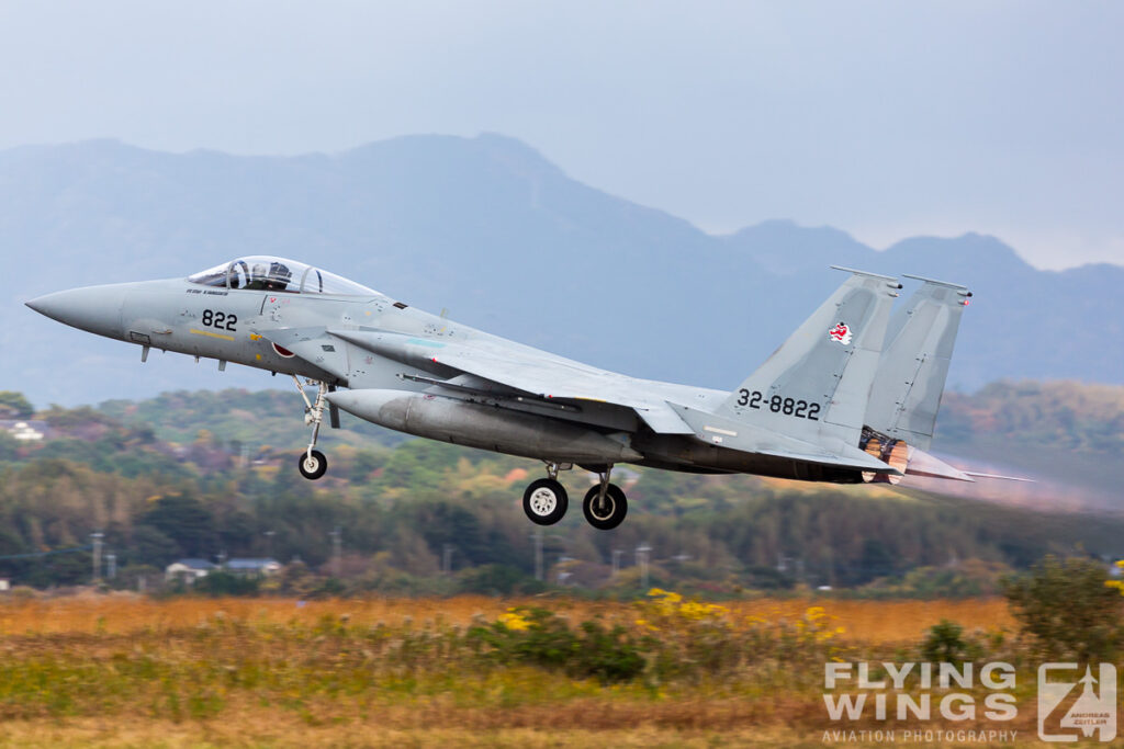 2014, F-15, JASDF, Japan, Tsuiki, airshow