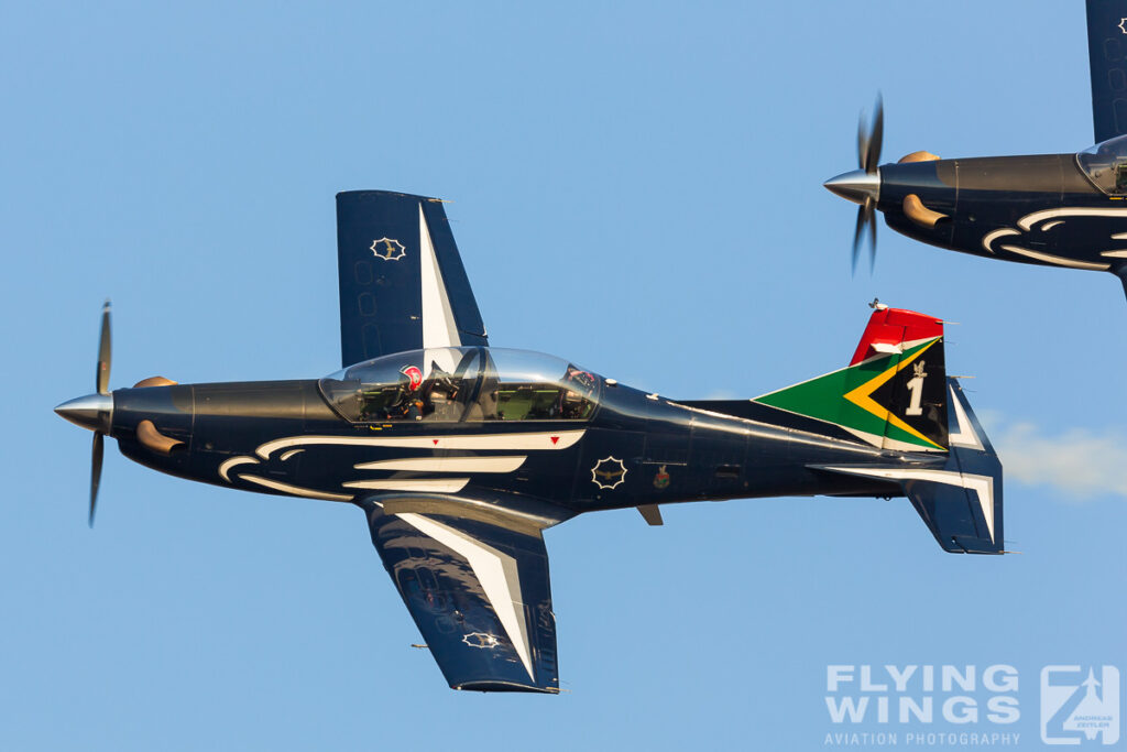 silver falcons   5236 zeitler 1024x683 - Africa Aerospace & Defence 2014