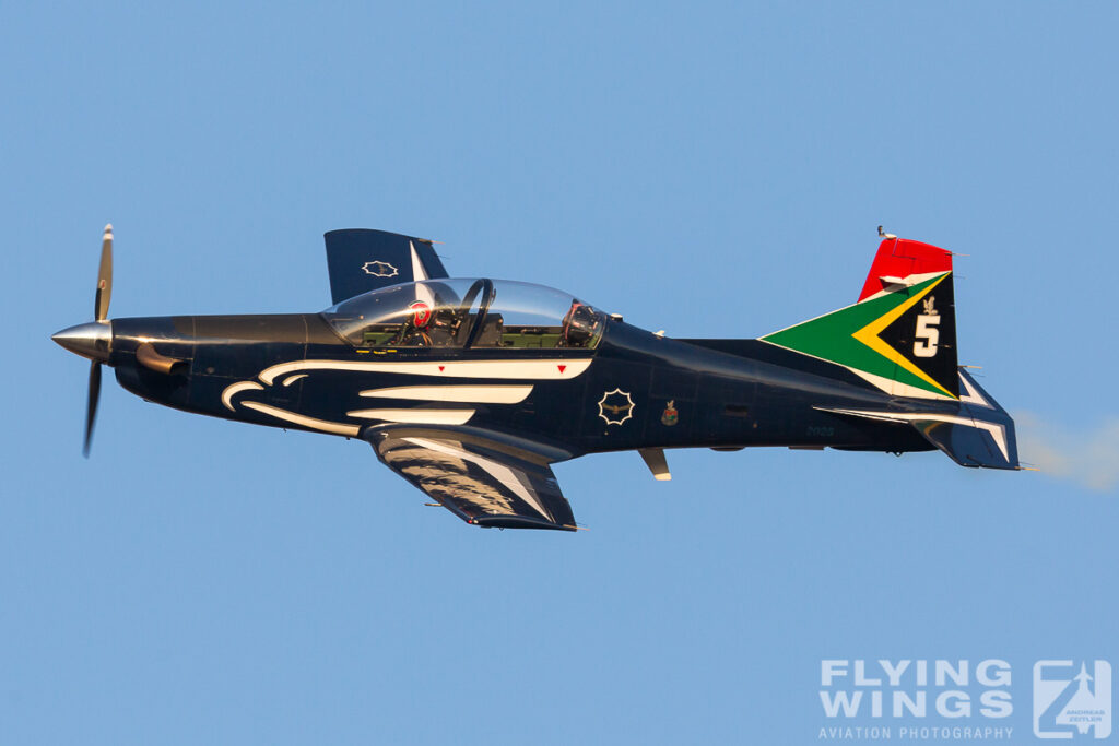 silver falcons   5270 zeitler 1024x683 - Africa Aerospace & Defence 2014