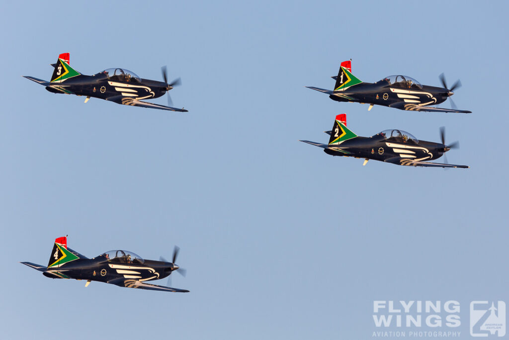 silver falcons   5305 zeitler 1024x683 - Africa Aerospace & Defence 2014