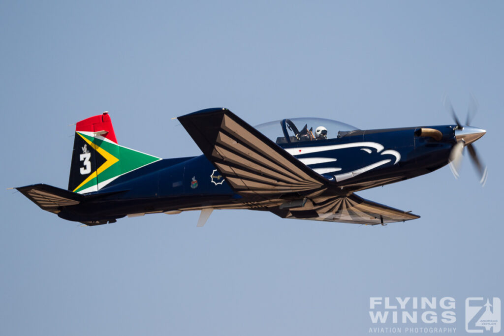 silver falcons   9217 zeitler 1024x683 - Africa Aerospace & Defence 2014