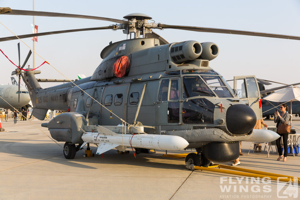 uae armed forces dubai airshow  1528 zeitler 1024x683 - Dubai Airshow