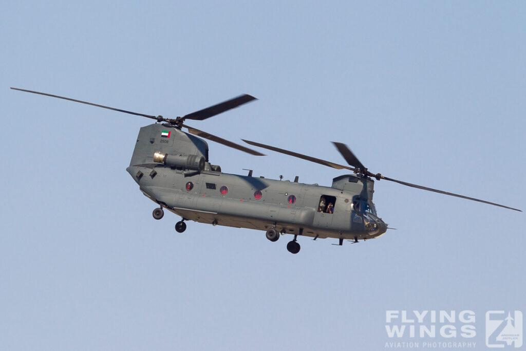 uae armed forces dubai airshow  9204 zeitler 1024x683 - Dubai Airshow