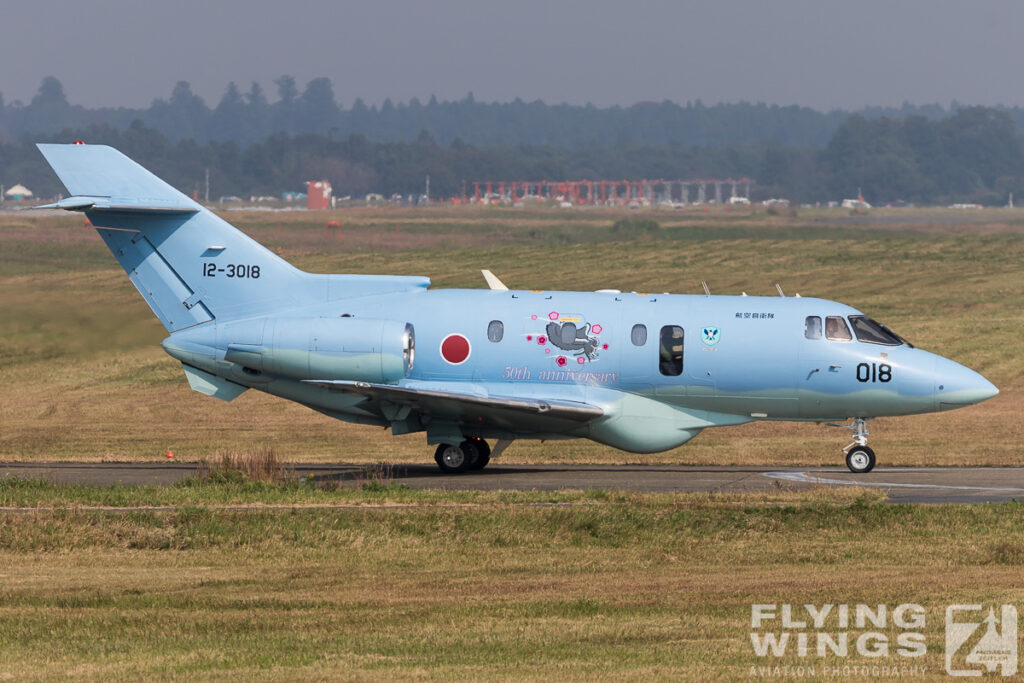 2015, Airshow, Hyakuri, JASDF, Japan, SAR, U-125