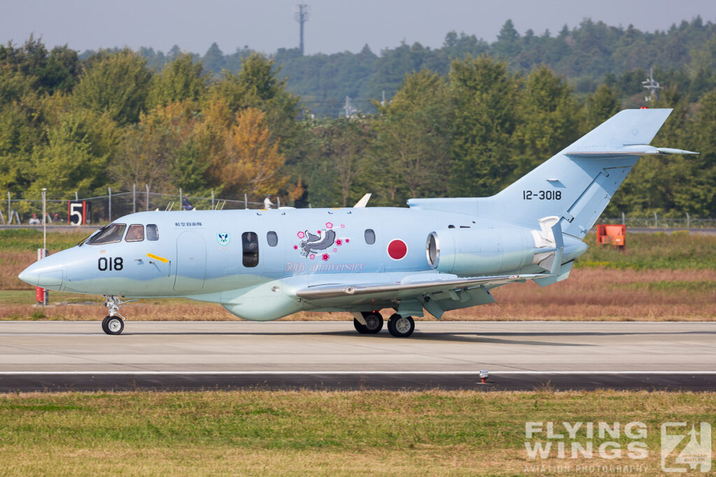 2015, Airshow, Hyakuri, JASDF, Japan, SAR, U-125