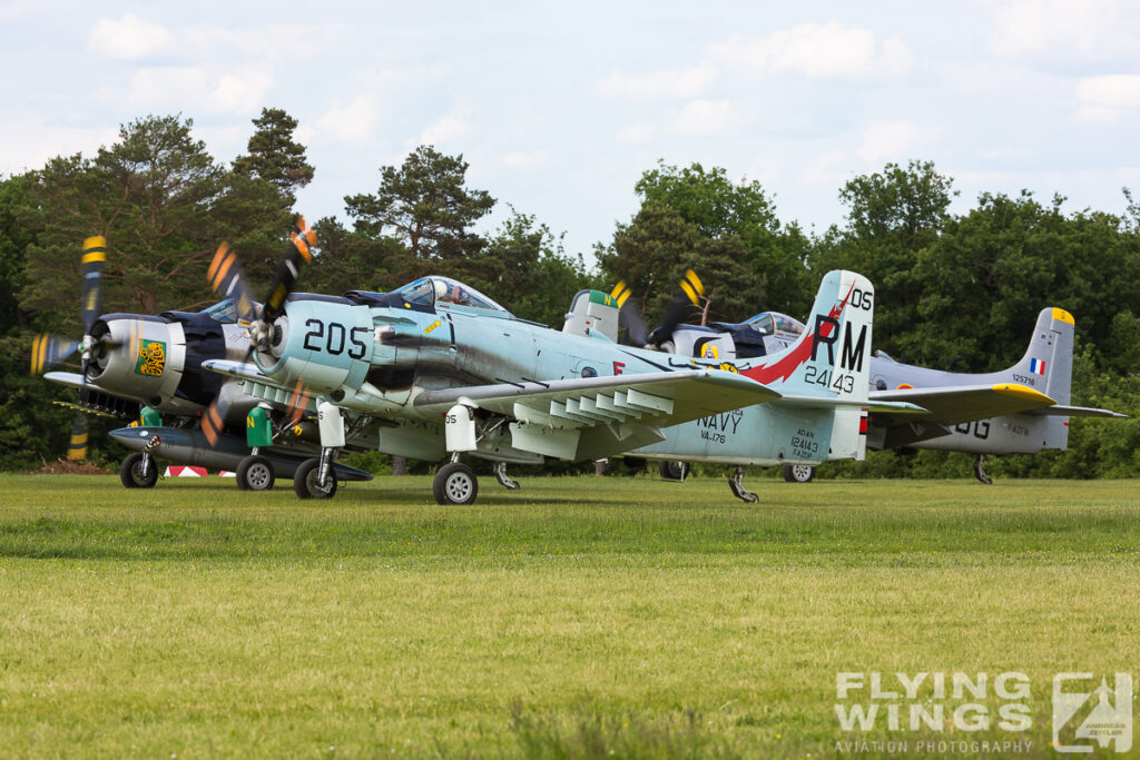 2015, La Ferte-Alais, Skyraider