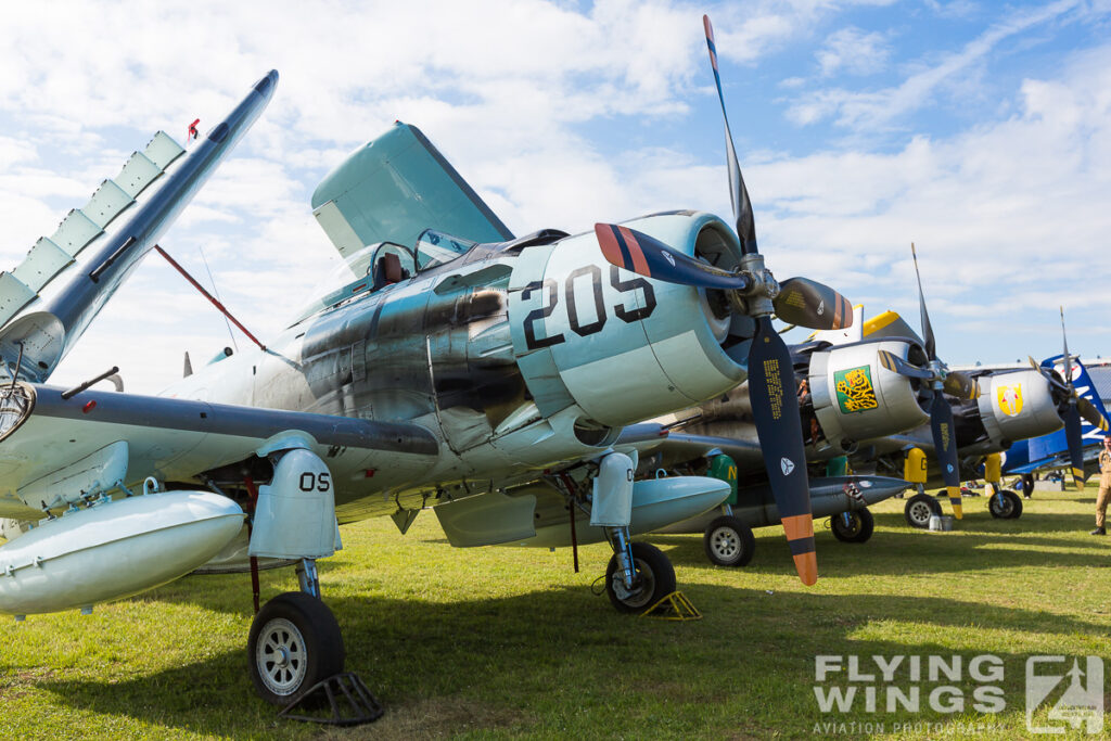 2015, La Ferte-Alais, Skyraider, static