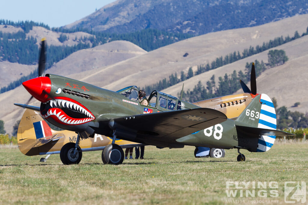 2015, Omaka, P-40, airshow