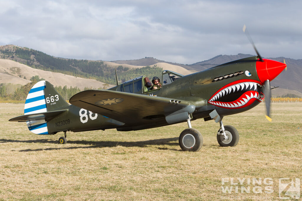 2015, Omaka, P-40, airshow