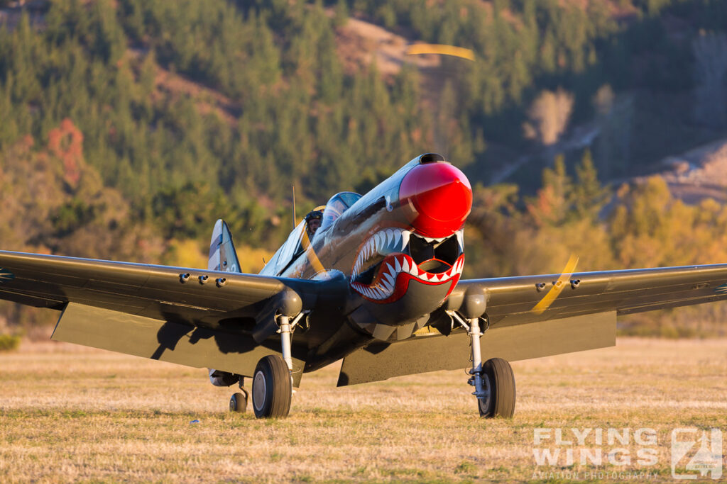 2015, Omaka, P-40, airshow