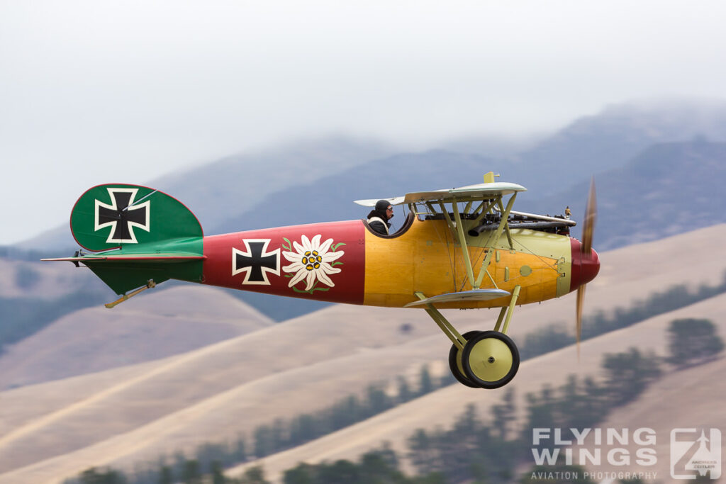 2015, Albatros, D.V, Omaka, airshow