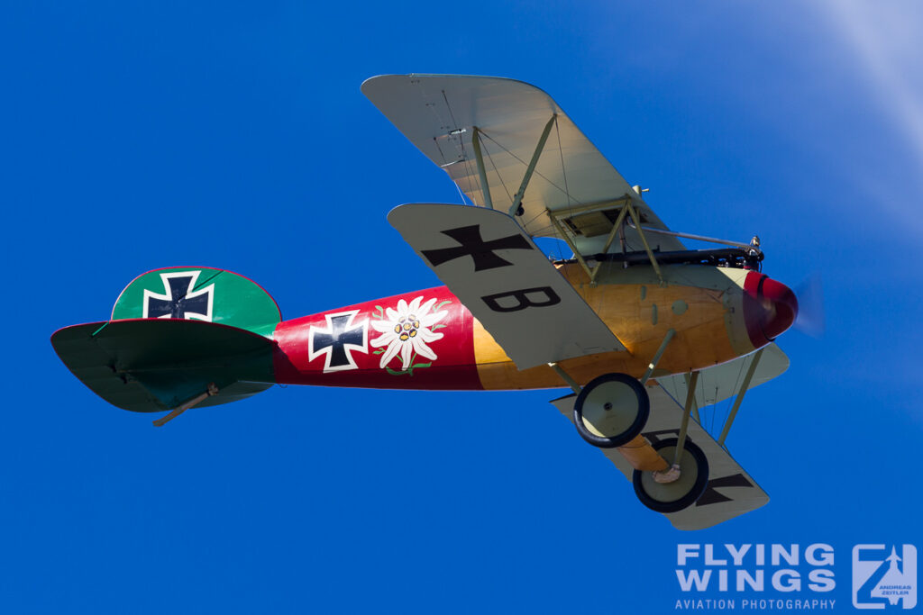 2015, Albatros, D.V, Omaka, airshow