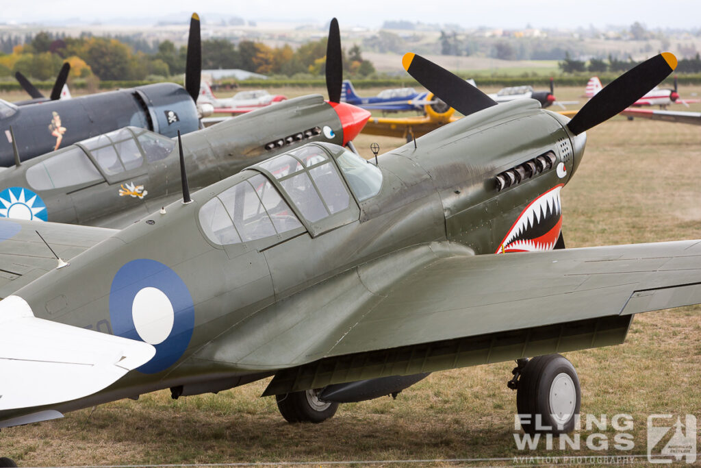 2015, Heiko, Omaka, P-40, airshow