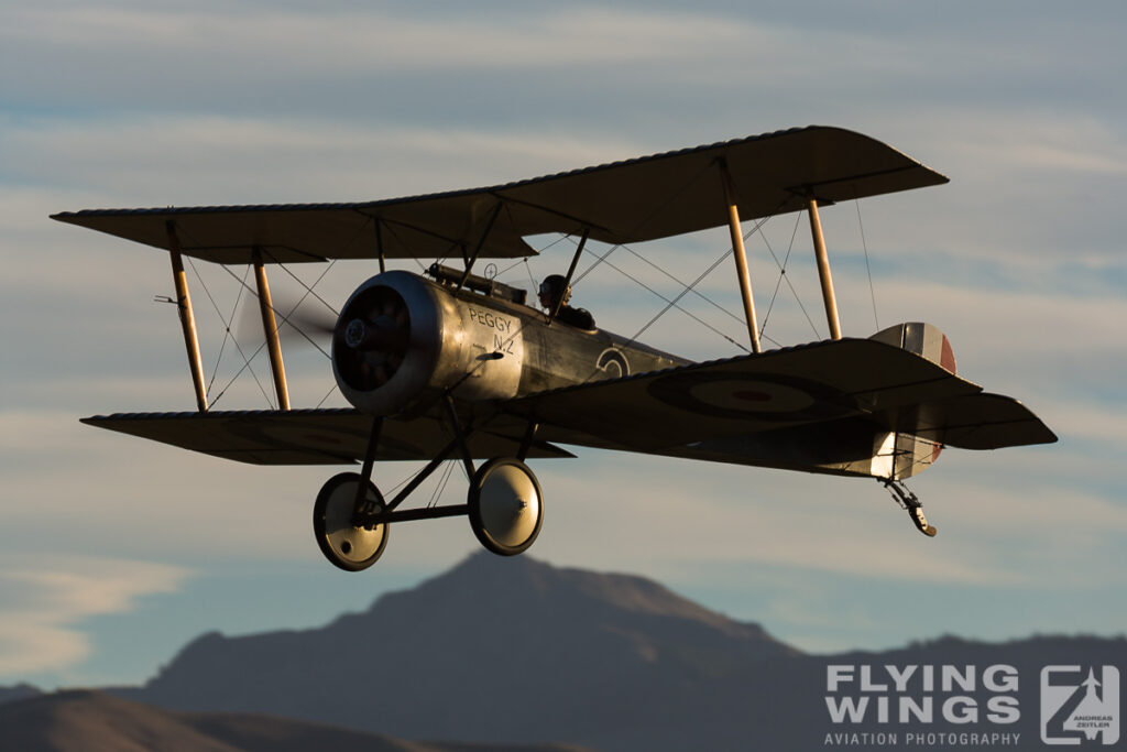 2015, Omaka, Sopwith, Strutter, airshow